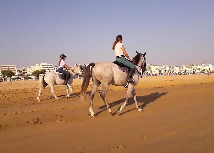 Lejlighed Residenza Concordia